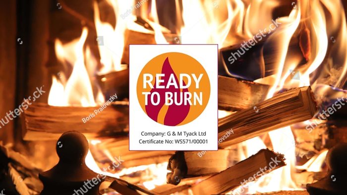 KINDLING - Image 2
