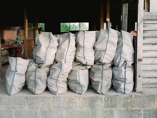 log sacks-mob